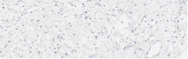 Stain Sample Score 0