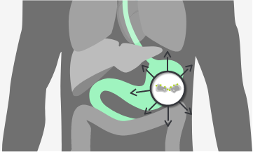 MAINTAINED IN METASTATIC PROGRESSION graph
