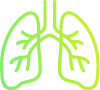 Lung Icon